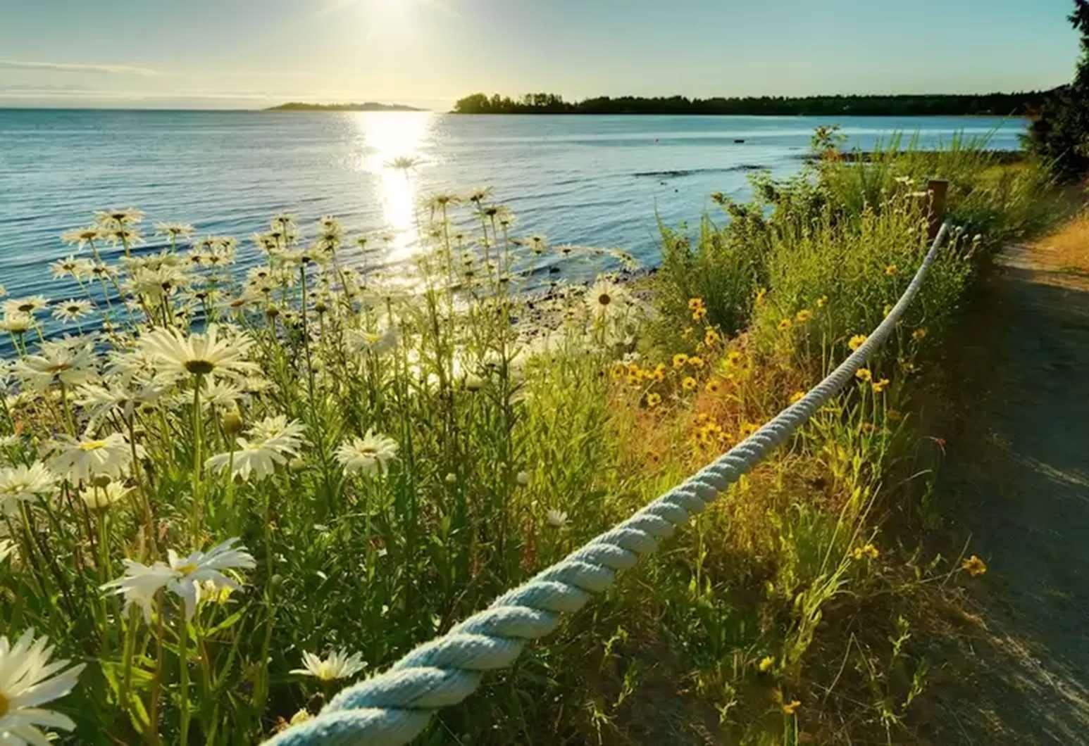 Sunrise Ridge Waterfront Resort Parksville Extérieur photo