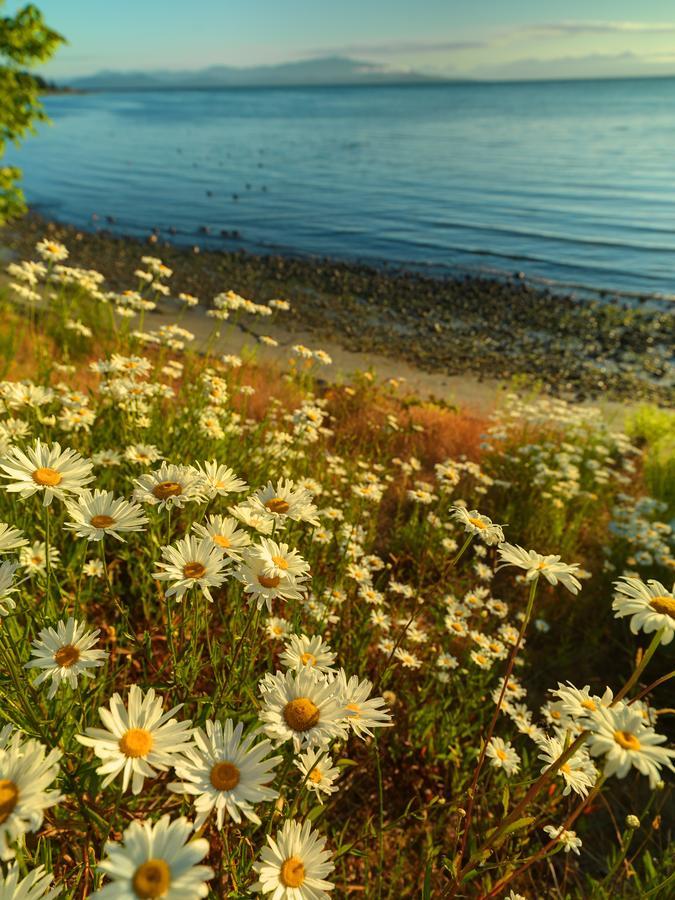 Sunrise Ridge Waterfront Resort Parksville Extérieur photo